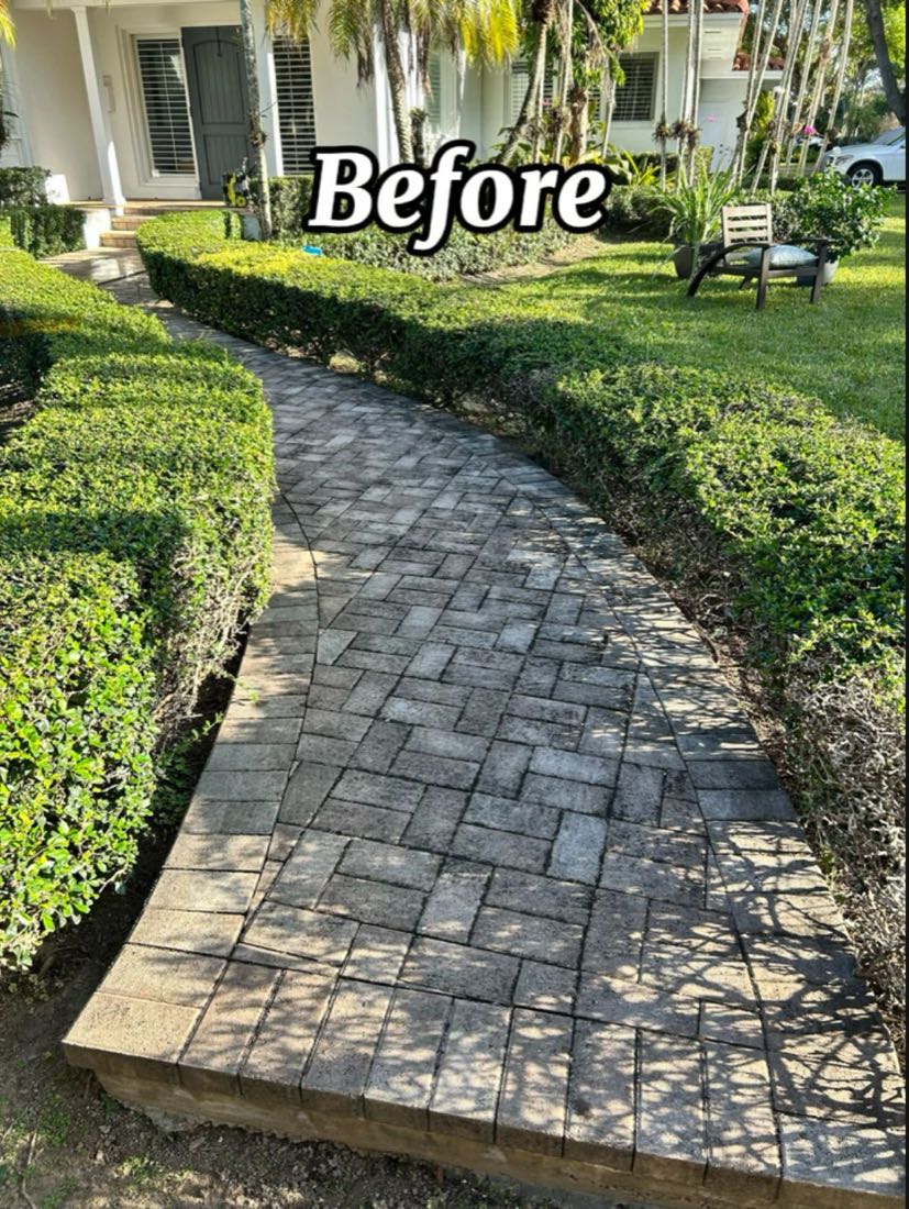 Before: a curved brick paver walkway darkened with dirt and mildew
