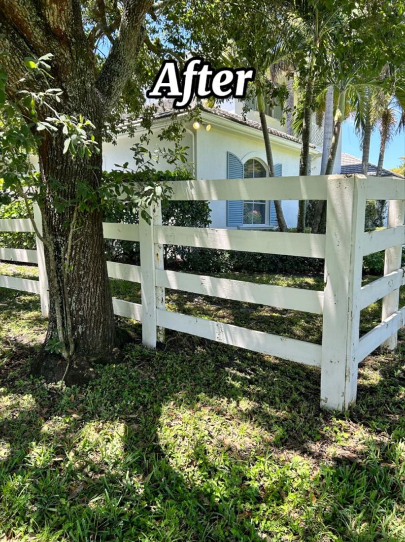 After: the same fence, white again with the algae gone