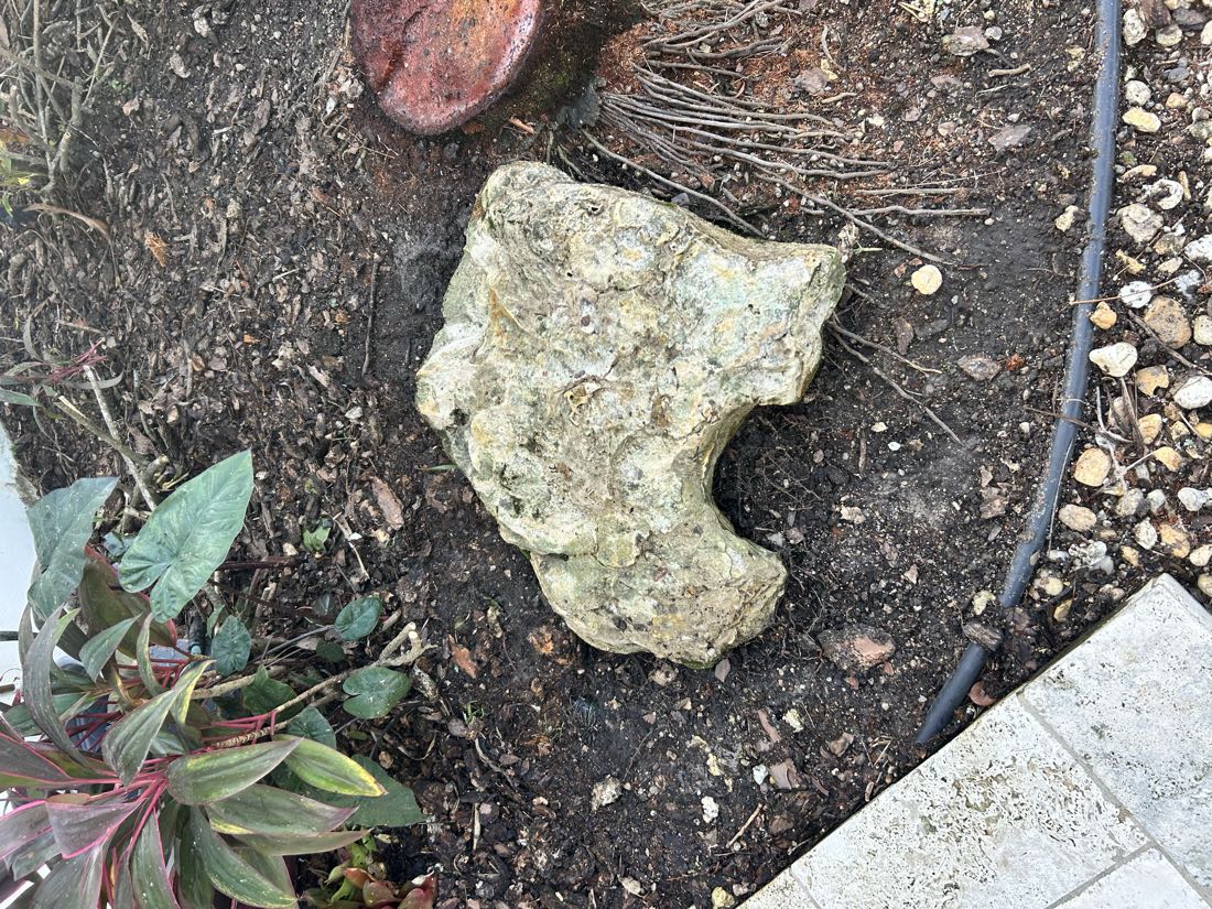 After: the same rock, clean and pale with the moss gone