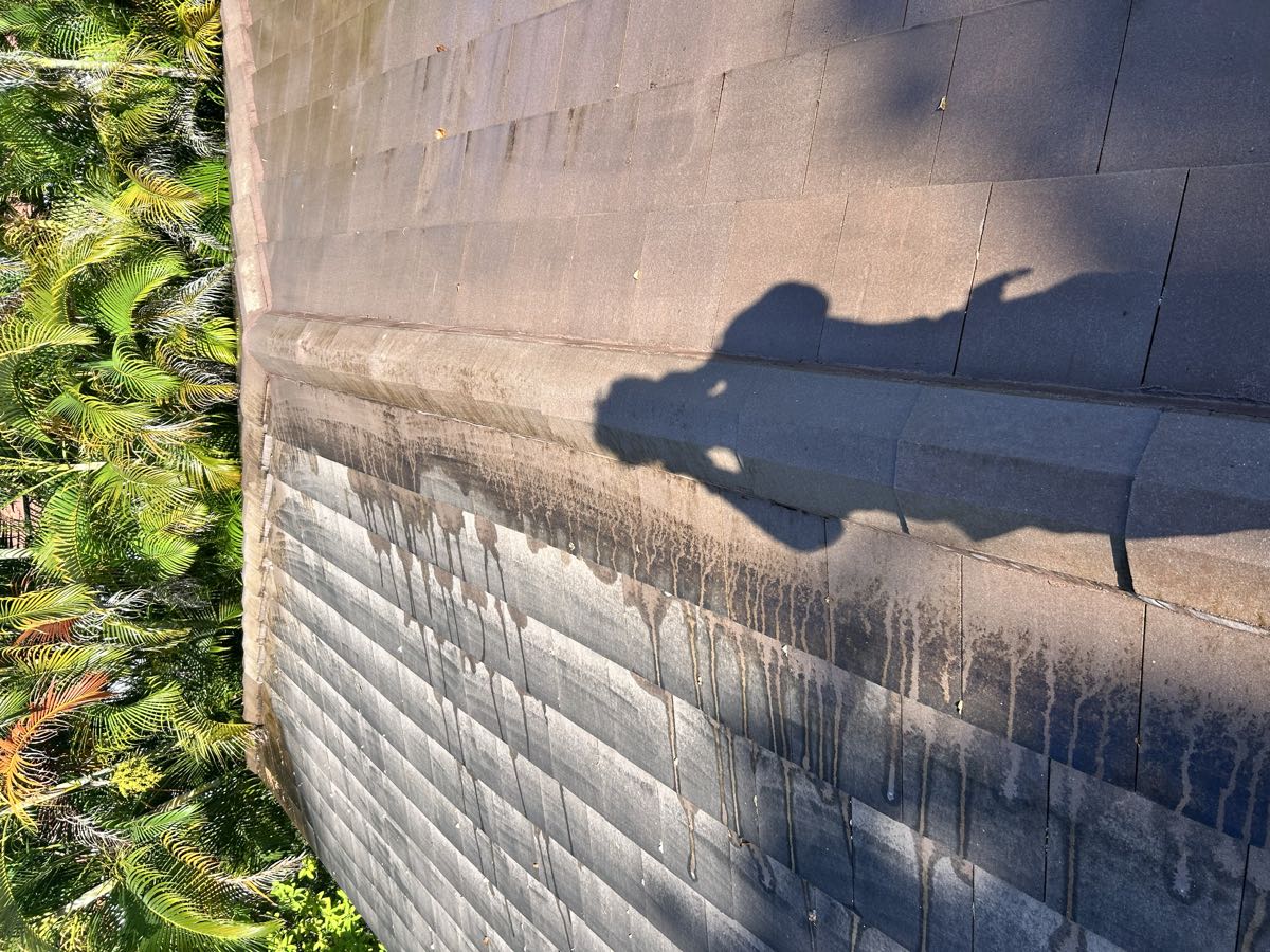 A flat tile roof half cleaned, dirty tiles on the left and clean on the right